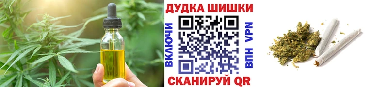 Canna-Cookies марихуана где найти Николаевск