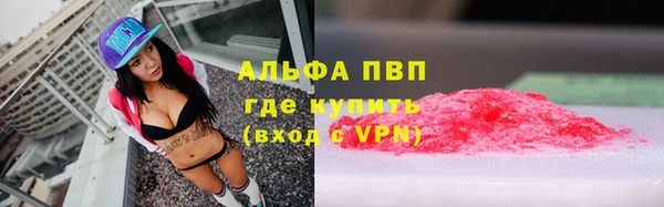 мяу мяу мука Алзамай