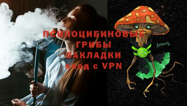 мяу мяу мука Алзамай