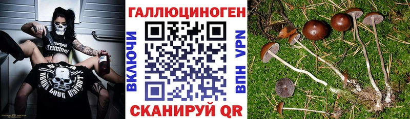 Галлюциногенные грибы Psilocybine cubensis  omg ТОР  Николаевск 